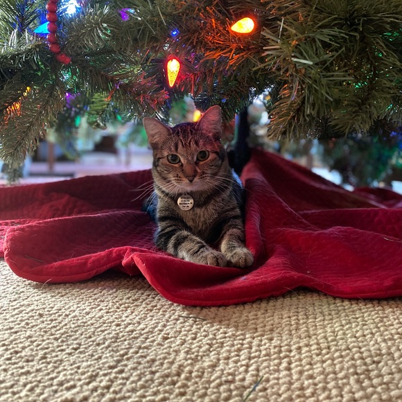 Live Show Listing 🫶🏼🫶🏼 - Picture 5 of 8